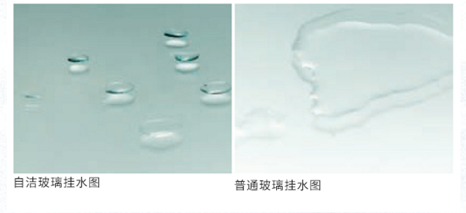 微信截图_20201021102906