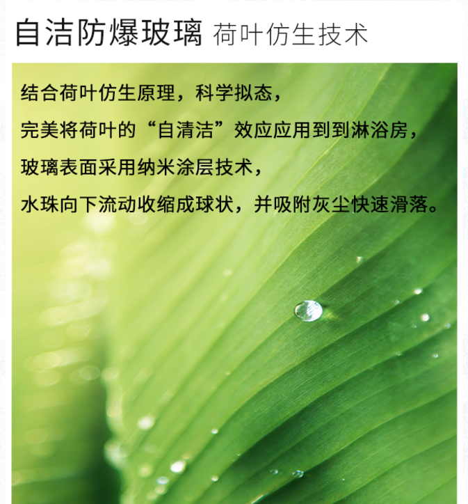 微信截图_20201021102838